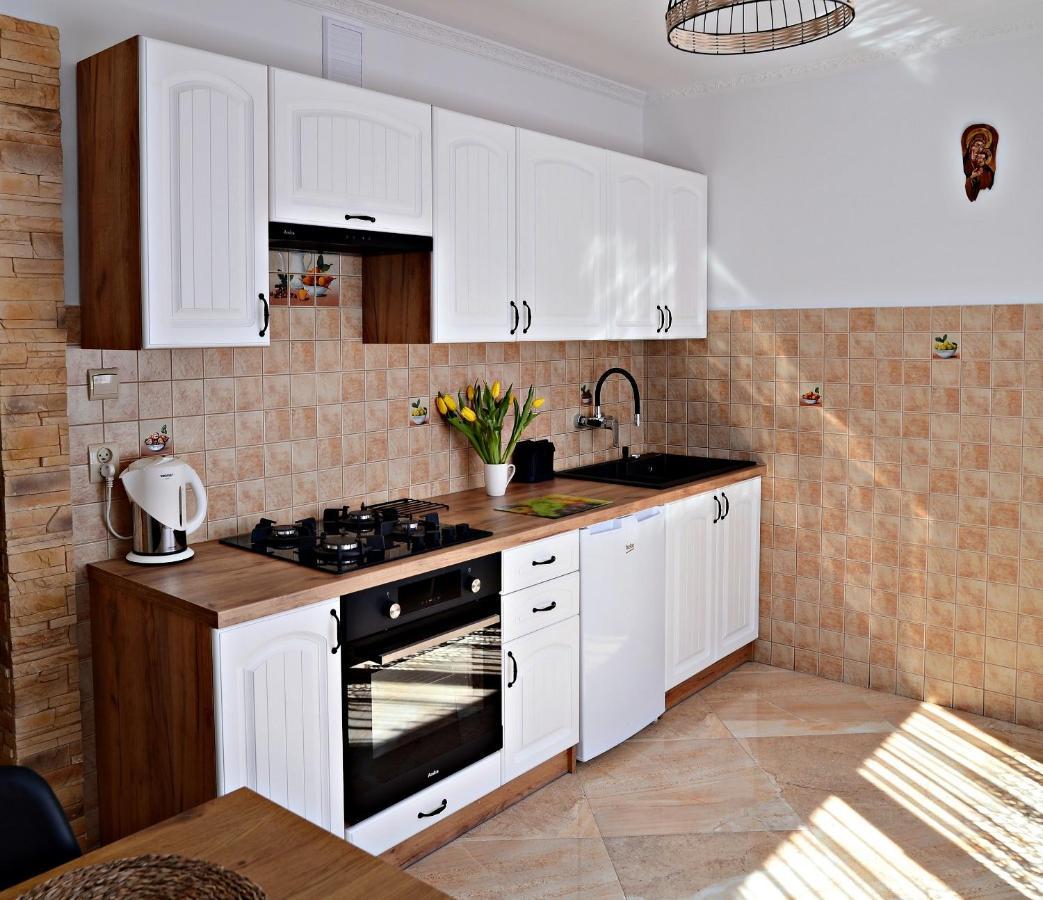 Apartament Z Tarasem I Pokoje Klimatyzowane -Drozdowka Solina 솔리나 외부 사진