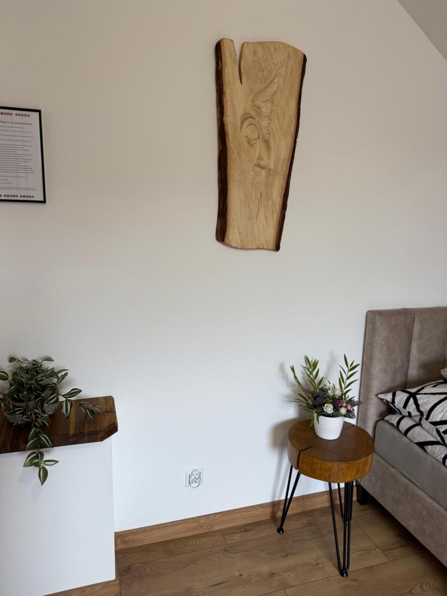 Apartament Z Tarasem I Pokoje Klimatyzowane -Drozdowka Solina 솔리나 외부 사진